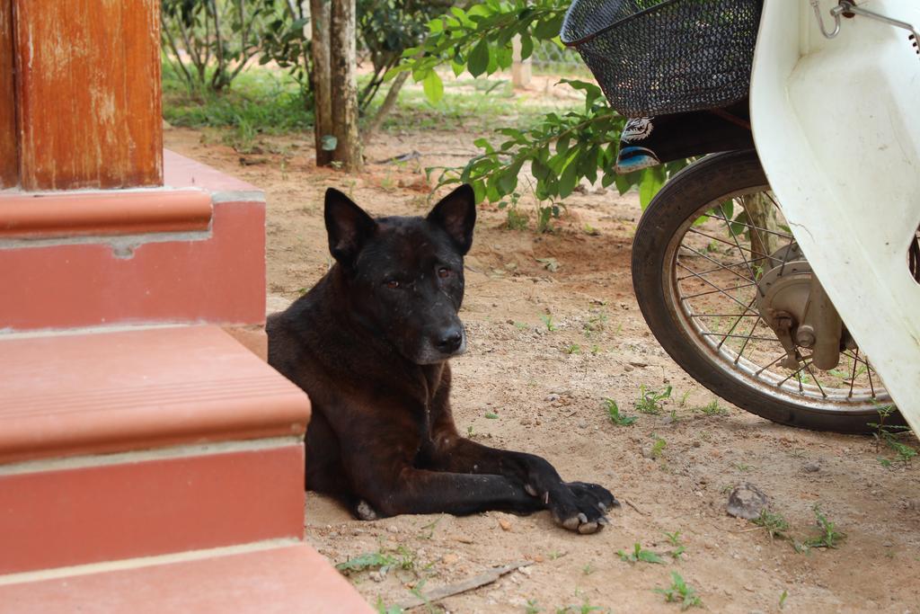 Spring Garden Homestay Phu Quoc Esterno foto
