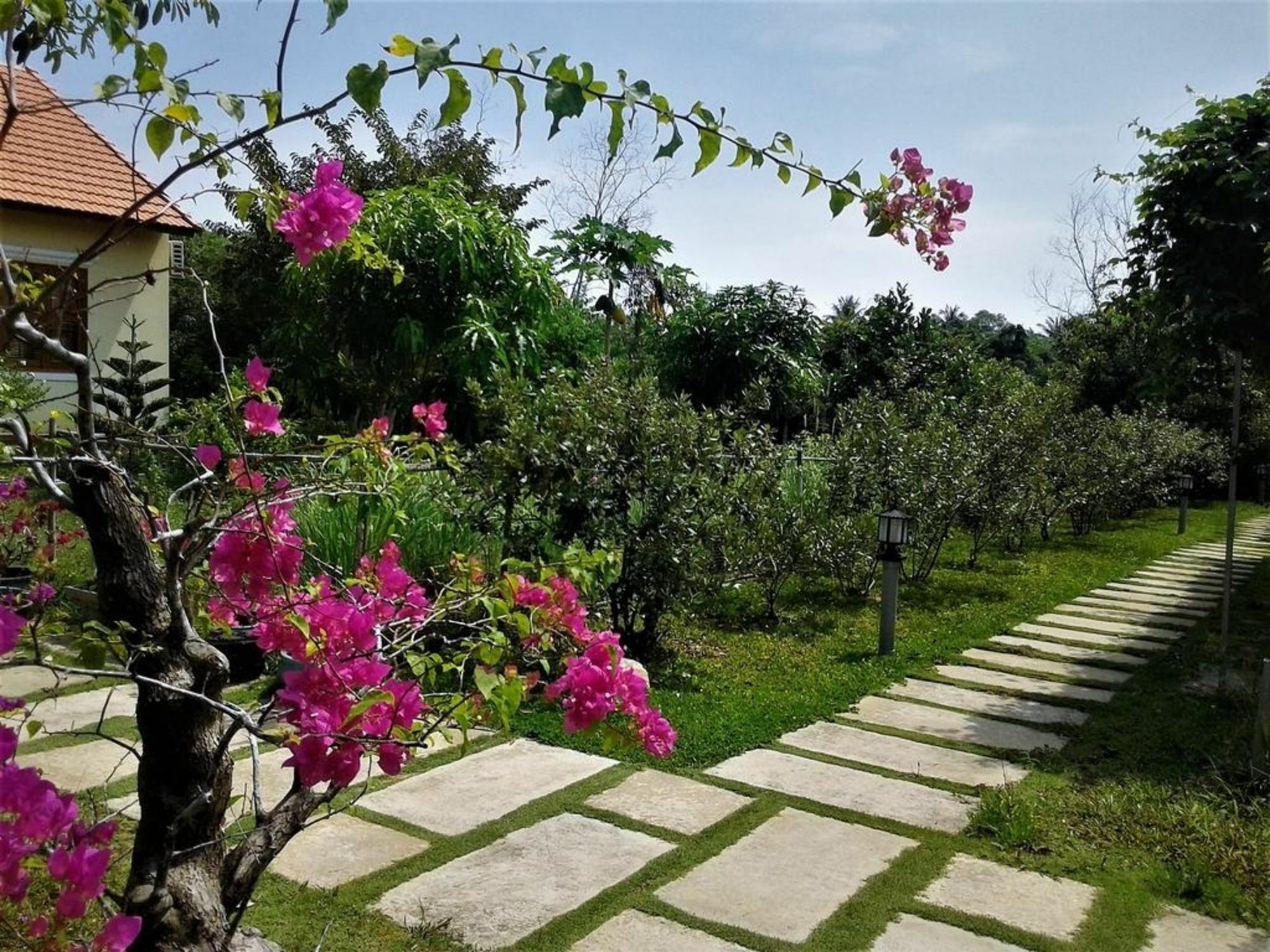 Spring Garden Homestay Phu Quoc Esterno foto