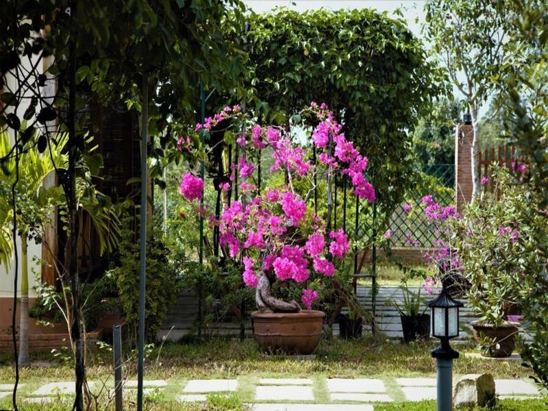 Spring Garden Homestay Phu Quoc Esterno foto