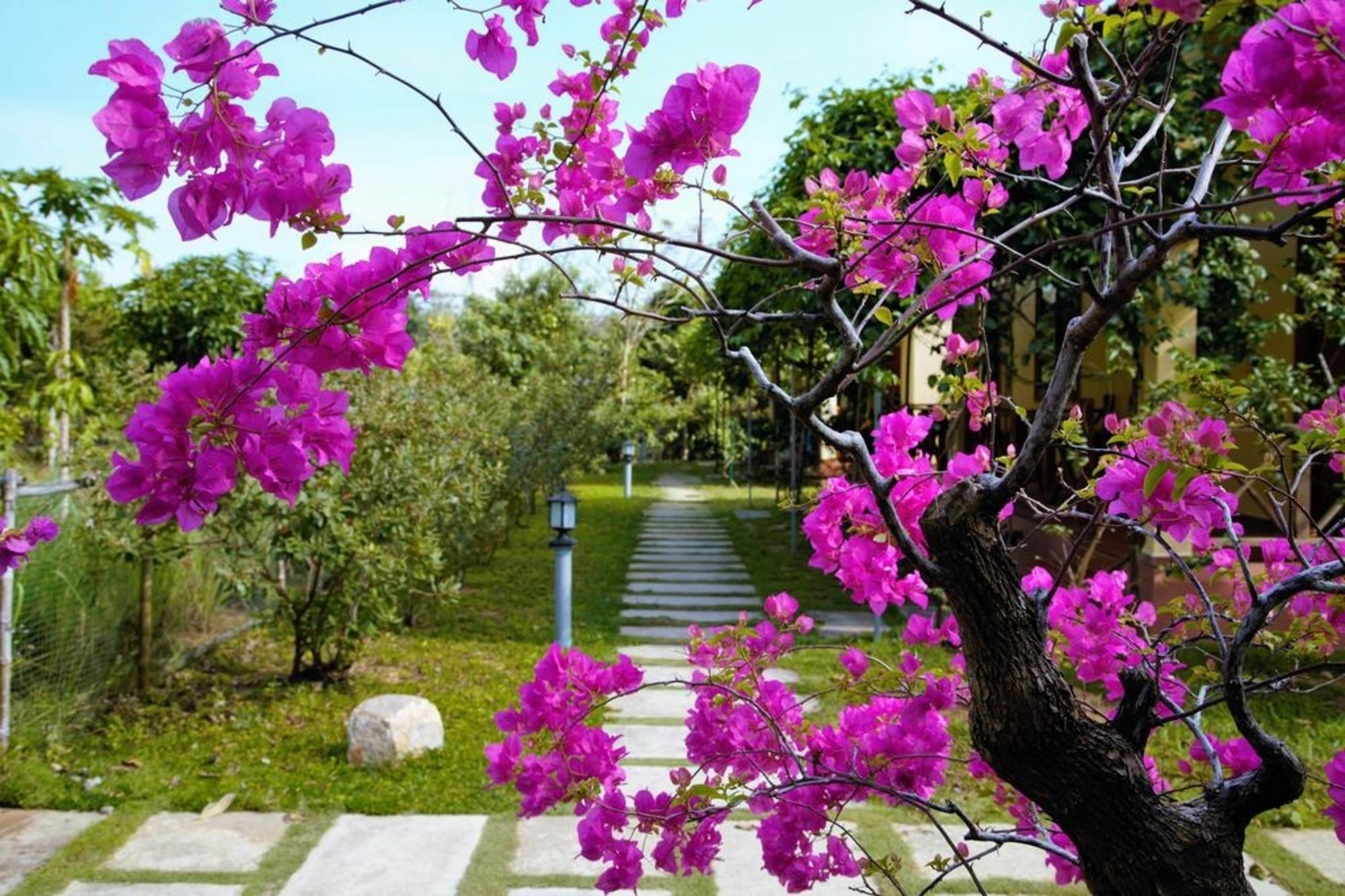 Spring Garden Homestay Phu Quoc Esterno foto