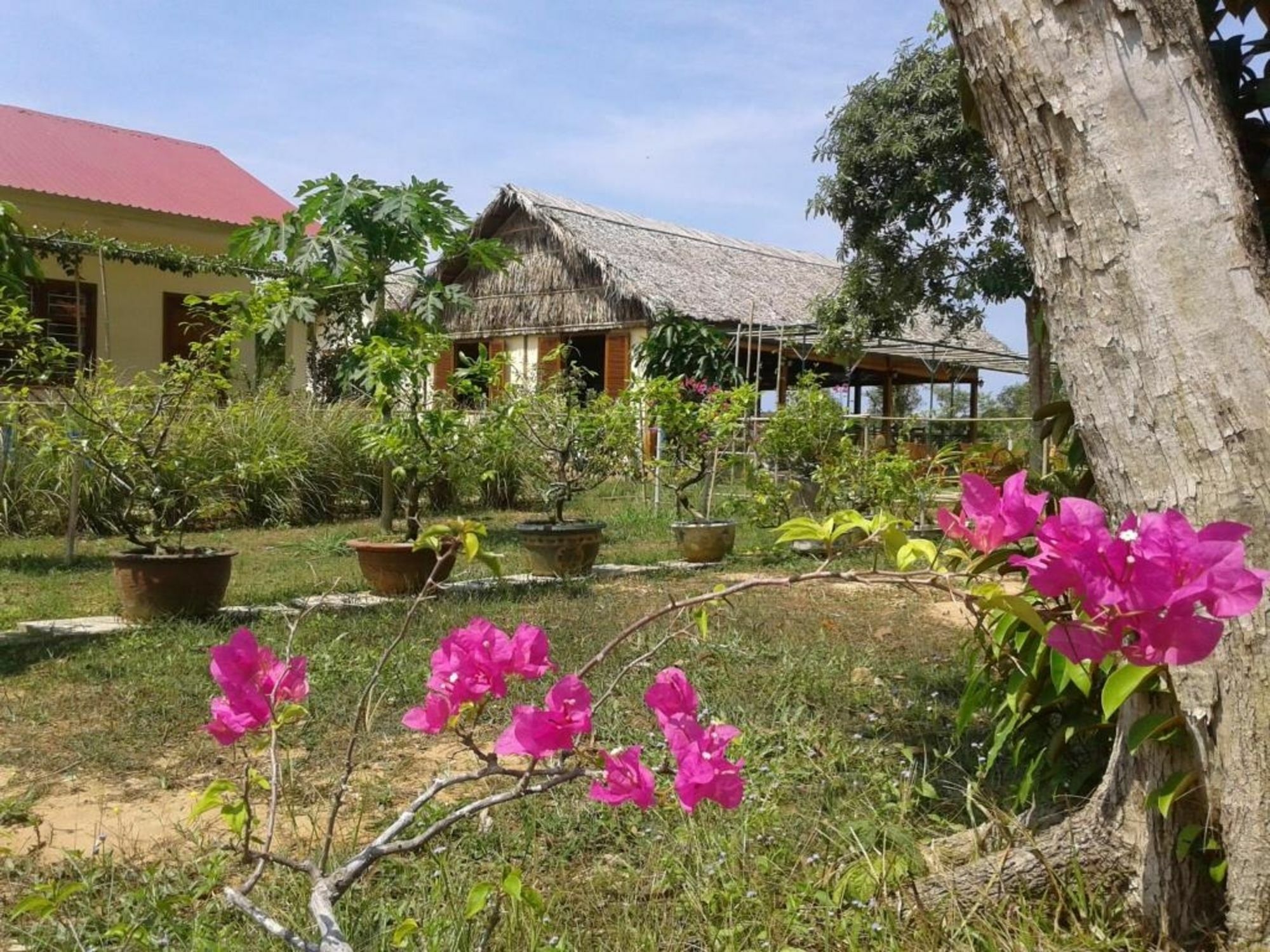 Spring Garden Homestay Phu Quoc Esterno foto