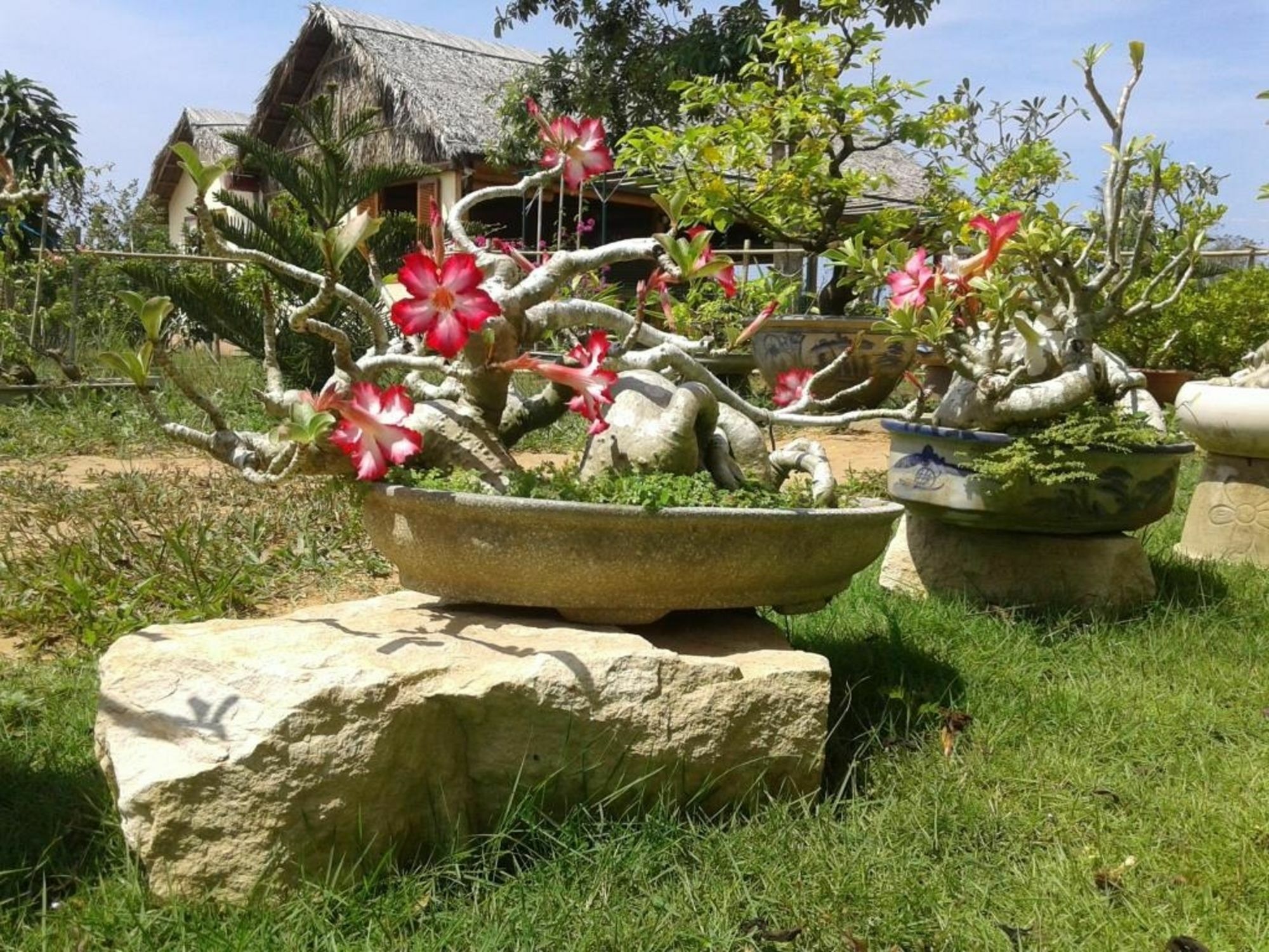 Spring Garden Homestay Phu Quoc Esterno foto