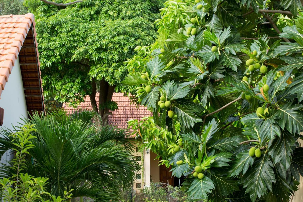 Spring Garden Homestay Phu Quoc Esterno foto