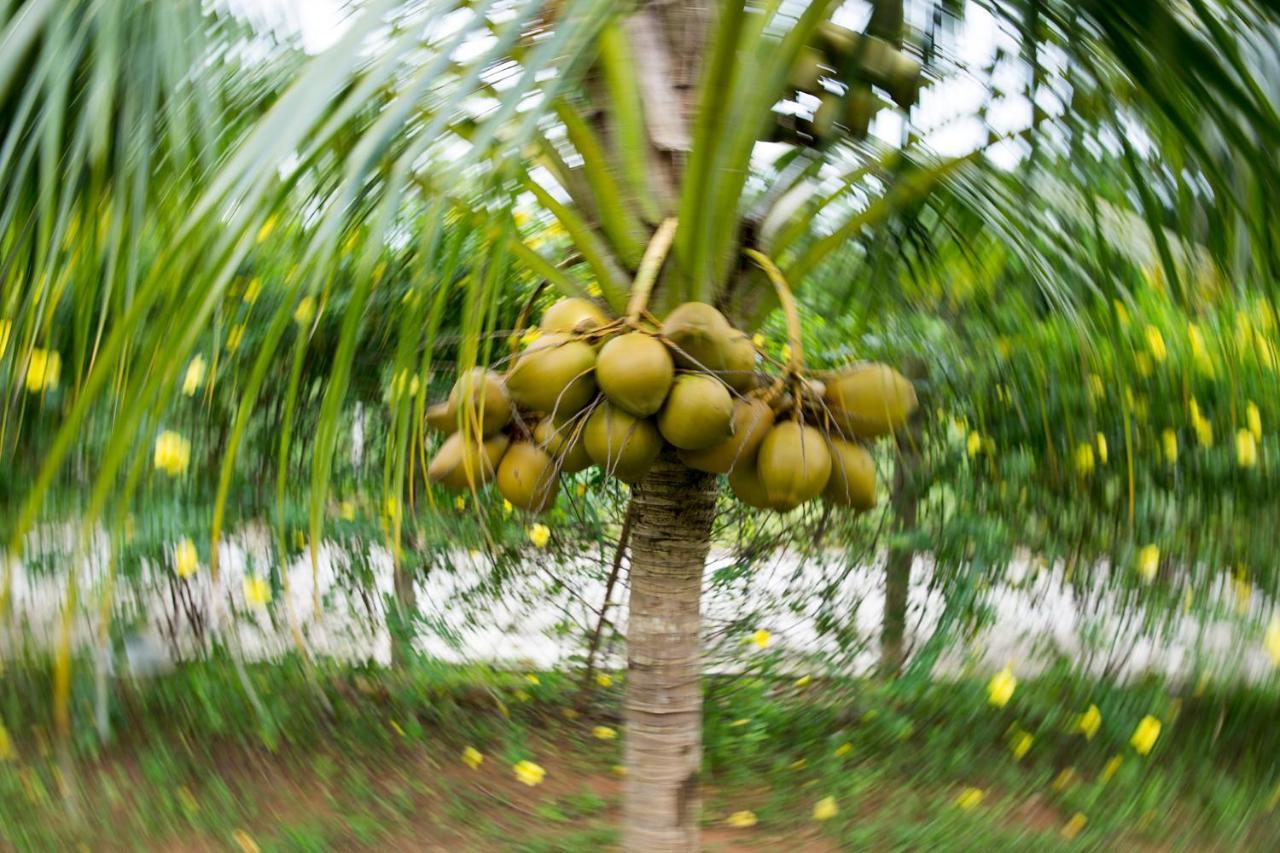 Spring Garden Homestay Phu Quoc Esterno foto